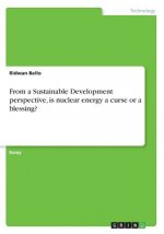 From a Sustainable Development perspective, is nuclear energy a curse or a blessing?