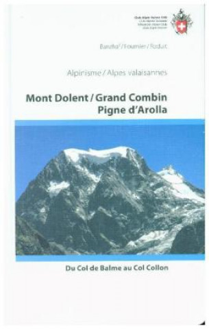 Alpine Touren Mont Dolent / Grand Combin / Pigne d'Arolla