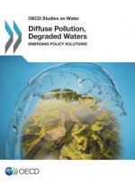 Diffuse Pollution, Degraded Waters: emerging policy solutions