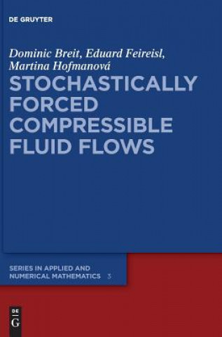 Stochastically Forced Compressible Fluid Flows