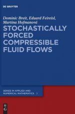 Stochastically Forced Compressible Fluid Flows
