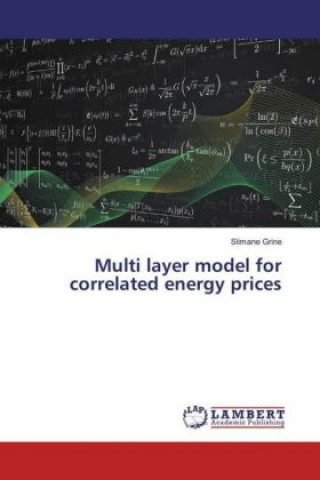 Multi layer model for correlated energy prices