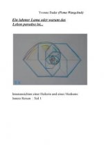 lahmer Lama oder warum das Leben paradox ist