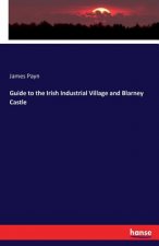 Guide to the Irish Industrial Village and Blarney Castle