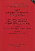 Upper Tisza Project. Studies in Hungarian Landscape Archaeology. Book 2: Settlement Patterns in the Bodrogkoez Block