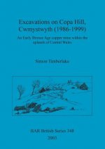 Excavations on Copa Hill, Cwmystwyth (1986-1999)