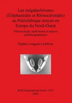 megaherbivores (Elephantides et Rhinocerotides) au Paleolithique moyen en Europe du Nord-Ouest