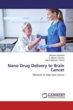 Nano Drug Delivery to Brain Cancer