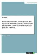 Gemeinwesenarbeit und Migration. Wie kann das Zusammenleben in zunehmend divergenten Gemeinschaften langfristig gestaltet werden?
