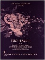 Trio h-Moll