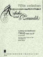 Trio nach op. 87, 3 Flöten