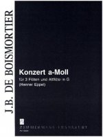 Konzert a-Moll, 4 Flöten (3 Flöten, 1 Altflöte in G)