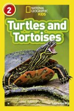 Turtles and Tortoises