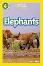 Elephants