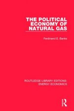 Political Economy of Natural Gas
