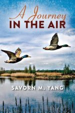 Journey In The Air