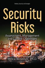 Security Risks