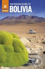 Rough Guide to Bolivia (Travel Guide eBook)