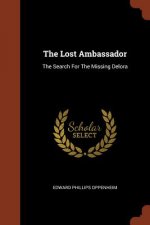 Lost Ambassador