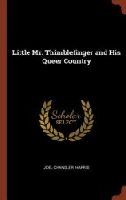 Little Mr. Thimblefinger and His Queer Country