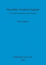 Mesolithic Northern England