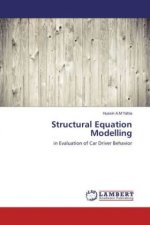 Structural Equation Modelling