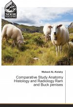 Comparative Study Anatomy Histology and Radiology Ram and Buck penises
