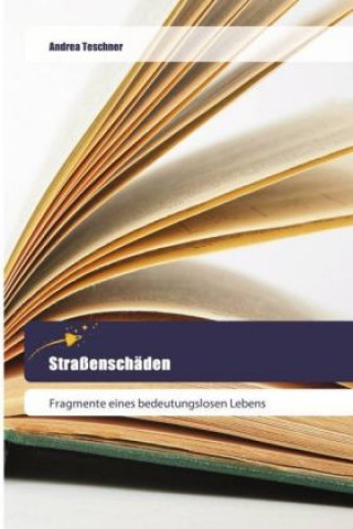 Straßenschäden
