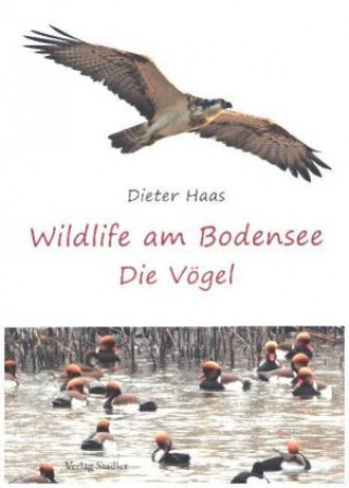 Wildlife am Bodensee