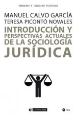 INTRODUCCION Y PERSPECTIVAS ACTUALES SOCIOLOGIA JURIDICA