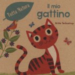Il mio gattino
