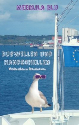 Bugwellen und Handschellen