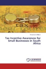 Tax Incentive Awareness for Small Businesses in South Africa