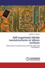 Self-organized silicide nanostructures at silicon surfaces