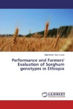 Performance and Farmers' Evaluation of Sorghum genotypes in Ethiopia