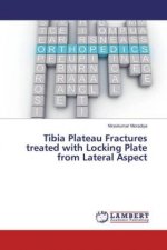 Tibia Plateau Fractures treated with Locking Plate from Lateral Aspect