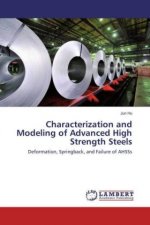 Characterization and Modeling of Advanced High Strength Steels