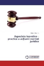 Aspectele teoretico - practice a actiunii normei juridice