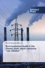 Environmental Audit in the closed joint- stock company 