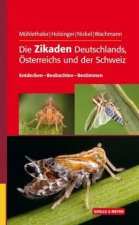 Die Zikaden Deutschlands, Österreichs und der Schweiz