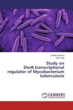 Study on DevR,transcriptional regulator of Mycobacterium tuberculosis