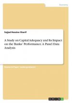 A Study on Capital Adequacy and Its Impact on the Banks' Performance. A Panel Data Analysis
