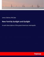 New York By Sunlight and Gaslight