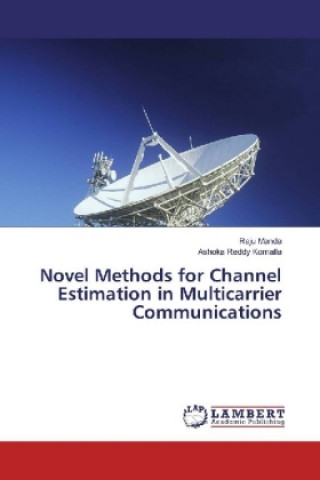 Novel Methods for Channel Estimation in Multicarrier Communications
