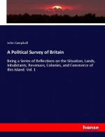 A Political Survey of Britain
