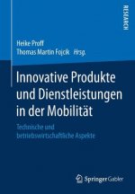 Innovative Produkte Und Dienstleistungen in Der Mobilitat