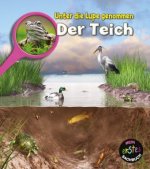 Der Teich