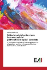 Mitochondrial potassium homeostasis in pathophysiological contexts