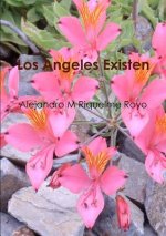 Angeles Existen