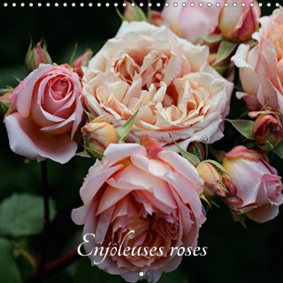 Enjoleuses Roses 2018